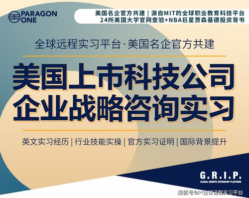 美國(guó)上市科技公司的企業(yè)戰(zhàn)略與技術(shù)開發(fā) 遠(yuǎn)程實(shí)習(xí)的機(jī)遇與挑戰(zhàn)